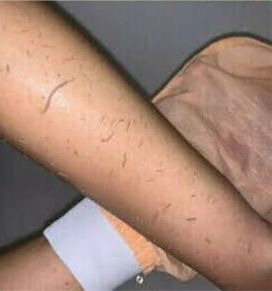 Hammam Bath – The Ancient Secret to Glowing Skin