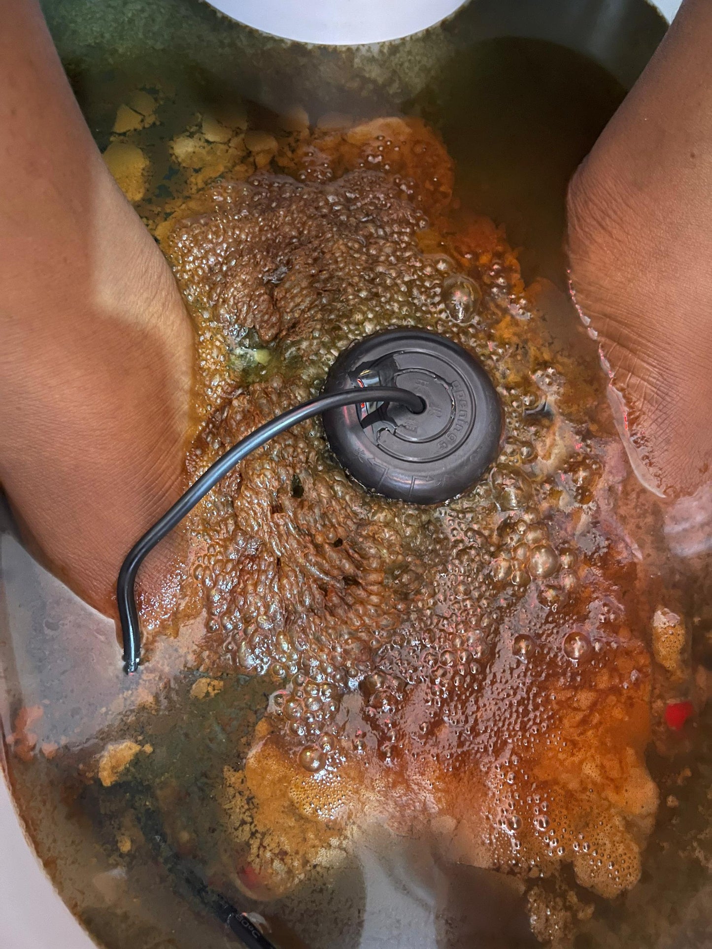 Ionic Foot & Body Detox